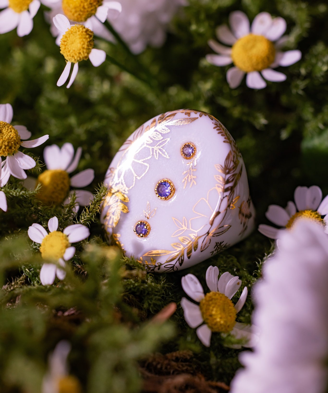 Daisy