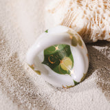 TRIFOLIUM OVALES Vert